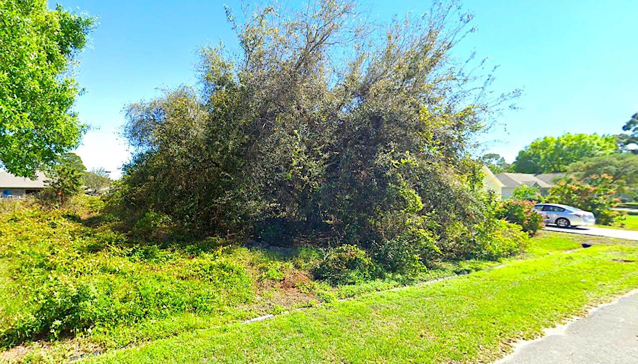 2901 Vittorio Street - Photo 1
