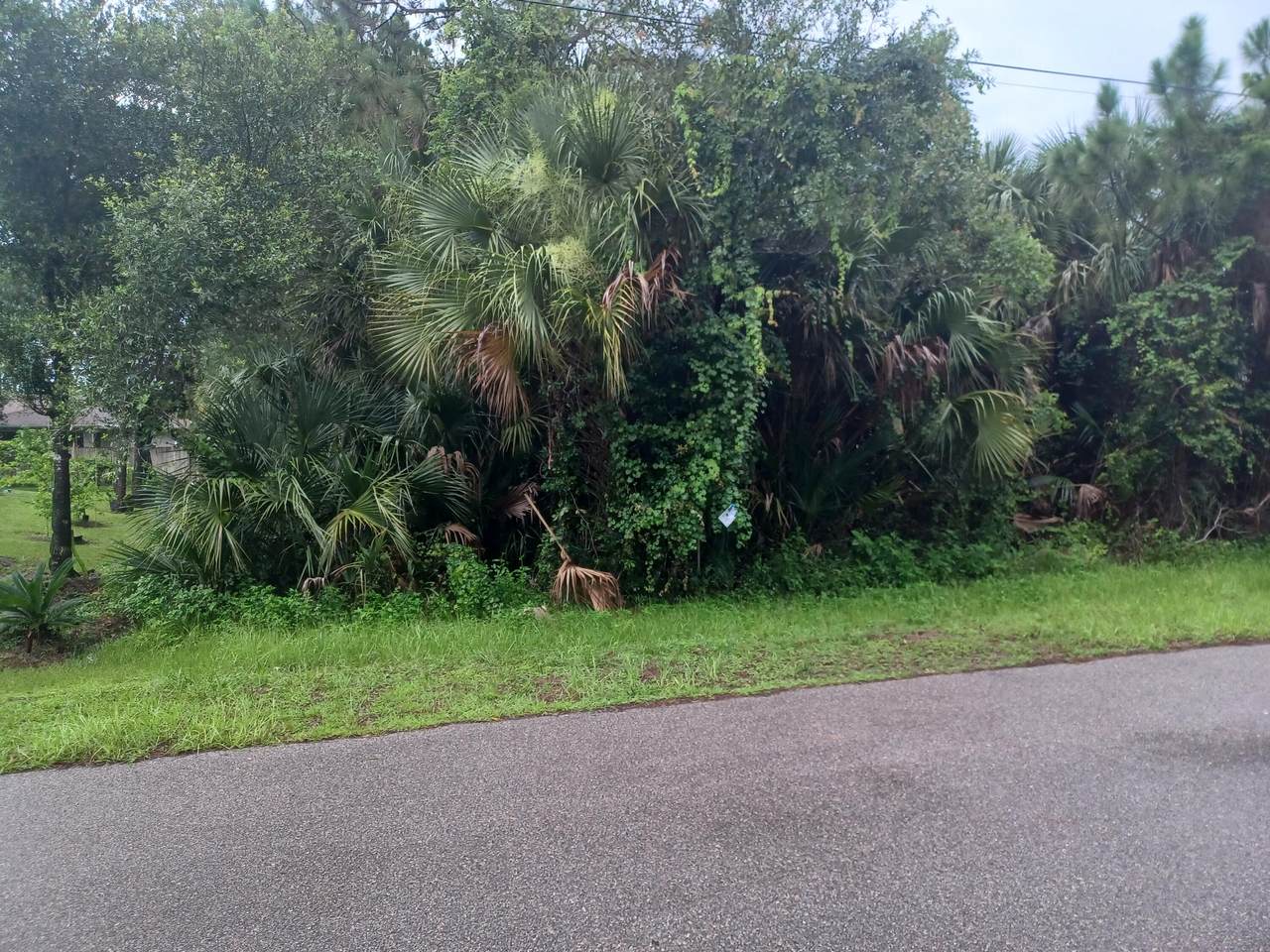 00 Mindlin Lane - Photo 1
