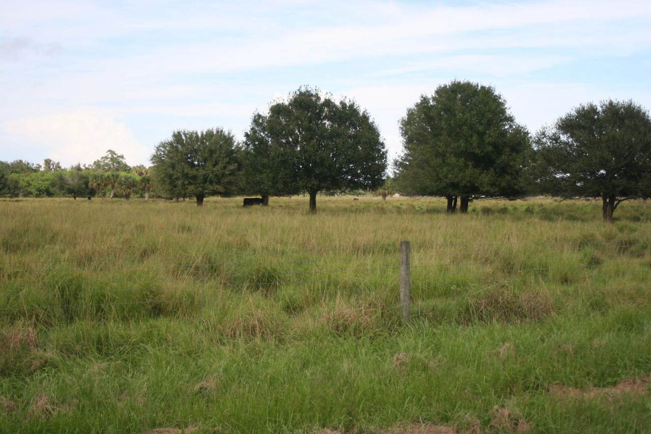 00 Muller Road - Photo 1