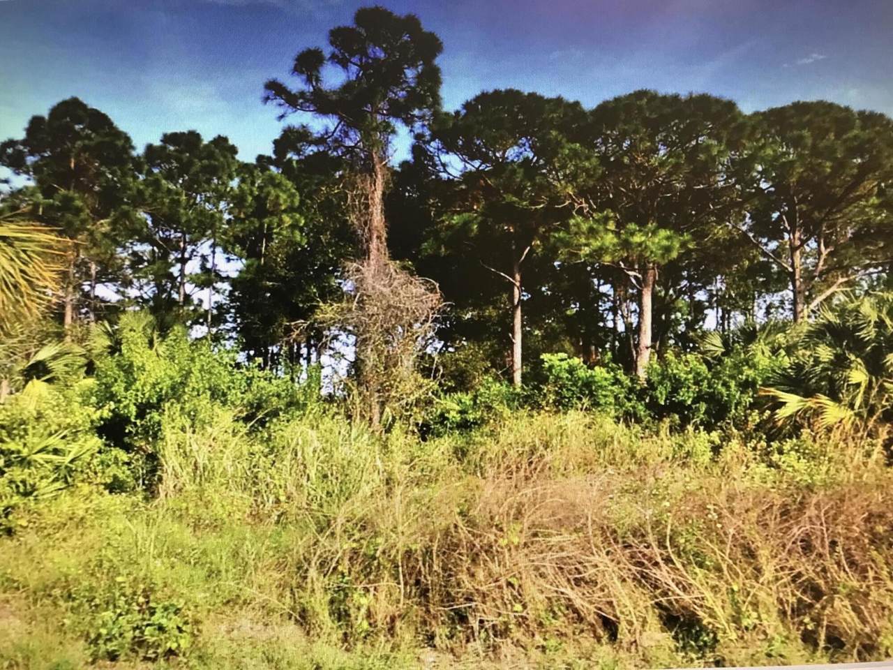 691 Selvitz Road - Photo 1