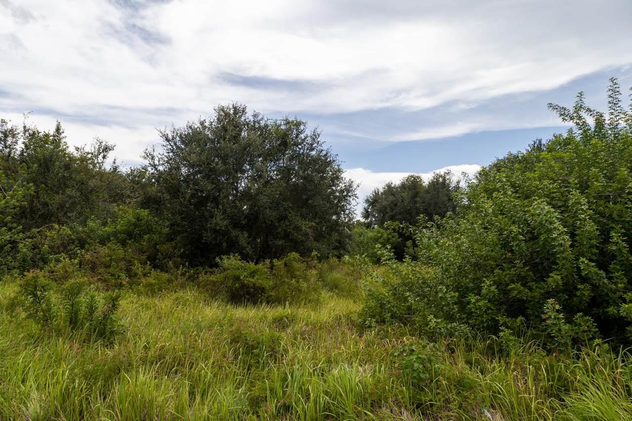 7450 Conners Highway - Photo 1