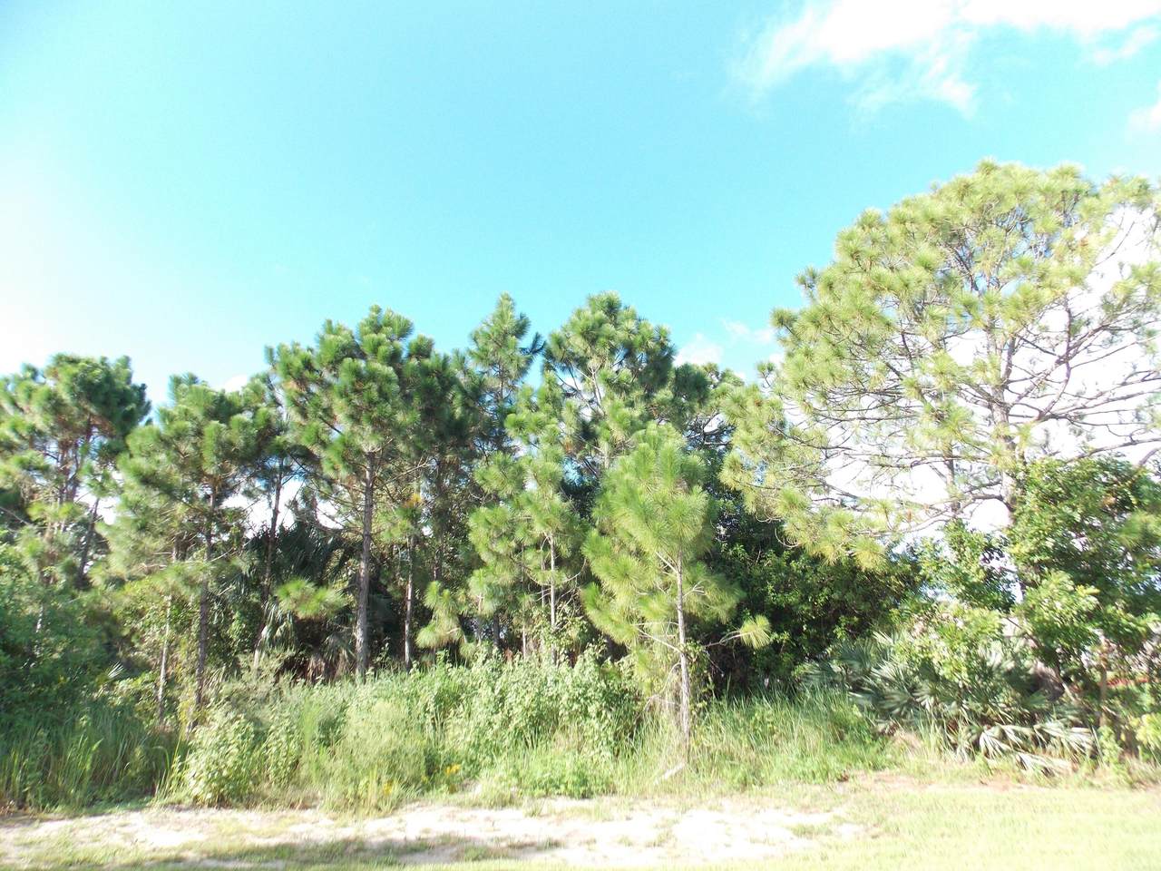 2525 Calder Street - Photo 1