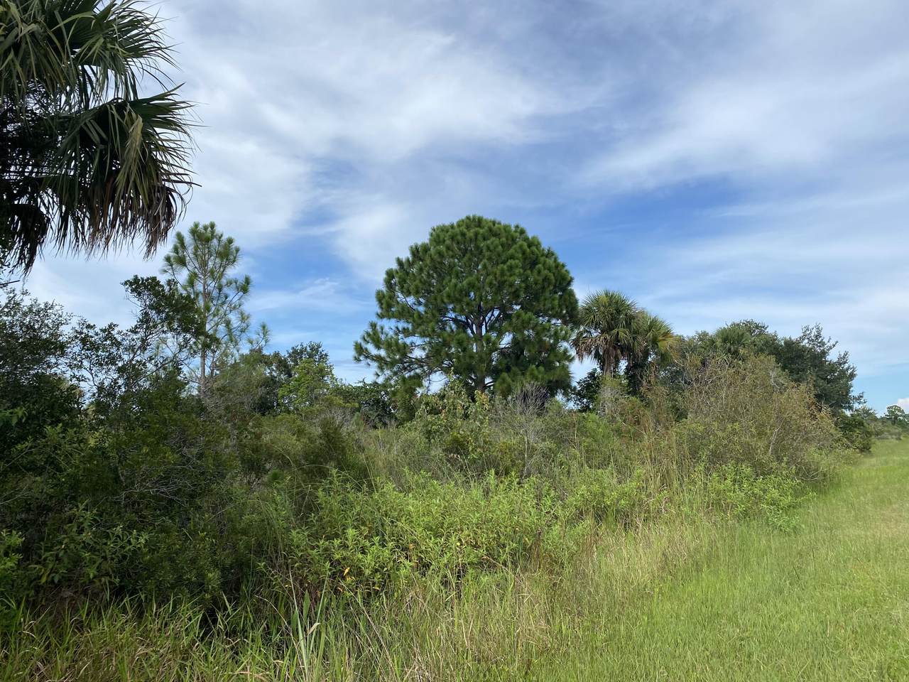 17593 314th Street - Photo 1