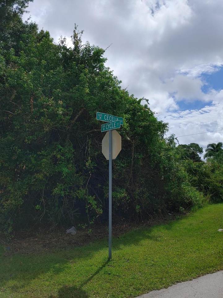1698 Cecelia Lane - Photo 1