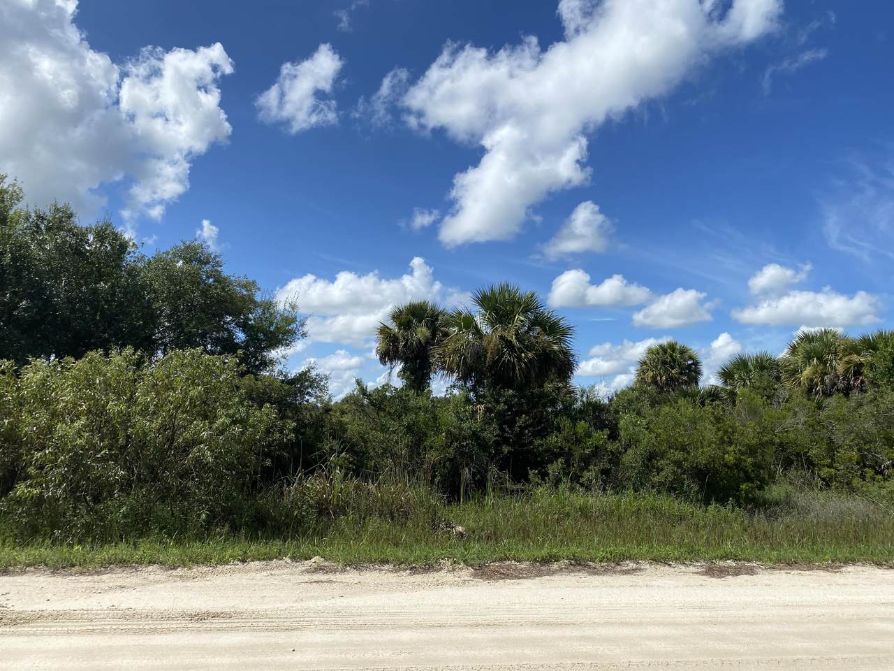 19532 256th Street - Photo 1