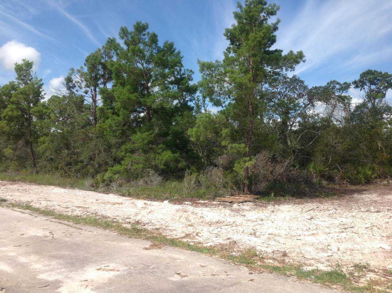 109 Elba Drive - Photo 1