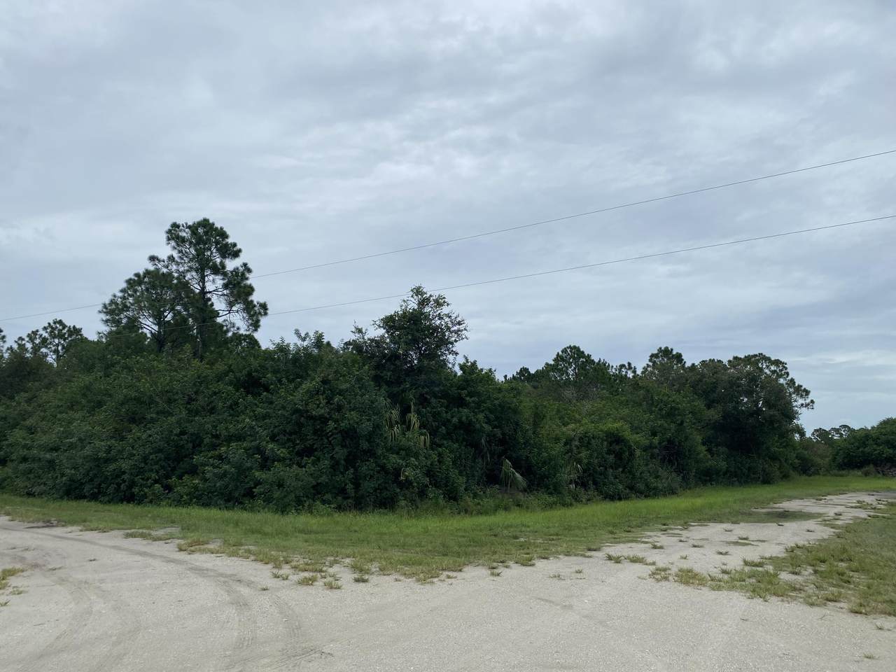 875 Appaloosa Avenue - Photo 1