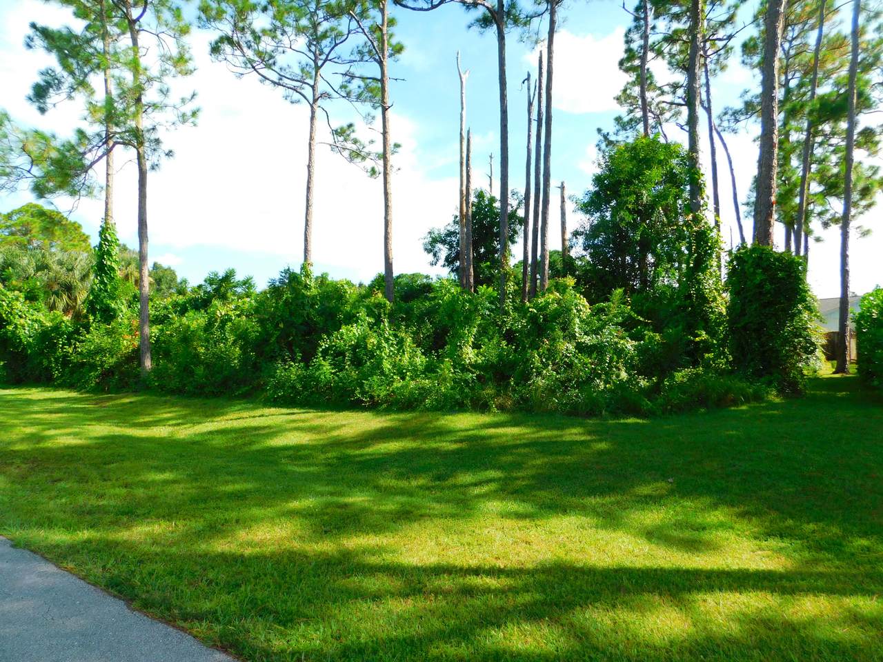 4501 Redwood Drive - Photo 1