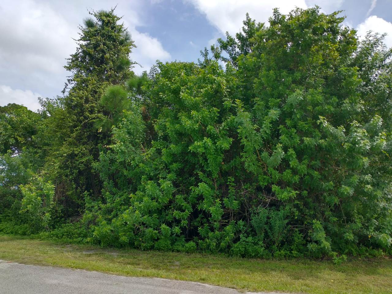 6701 Salerno Road - Photo 1