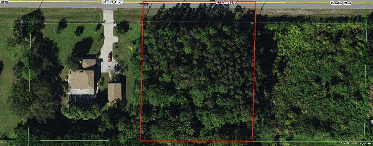 Xxxx Hamlin Boulevard - Photo 1