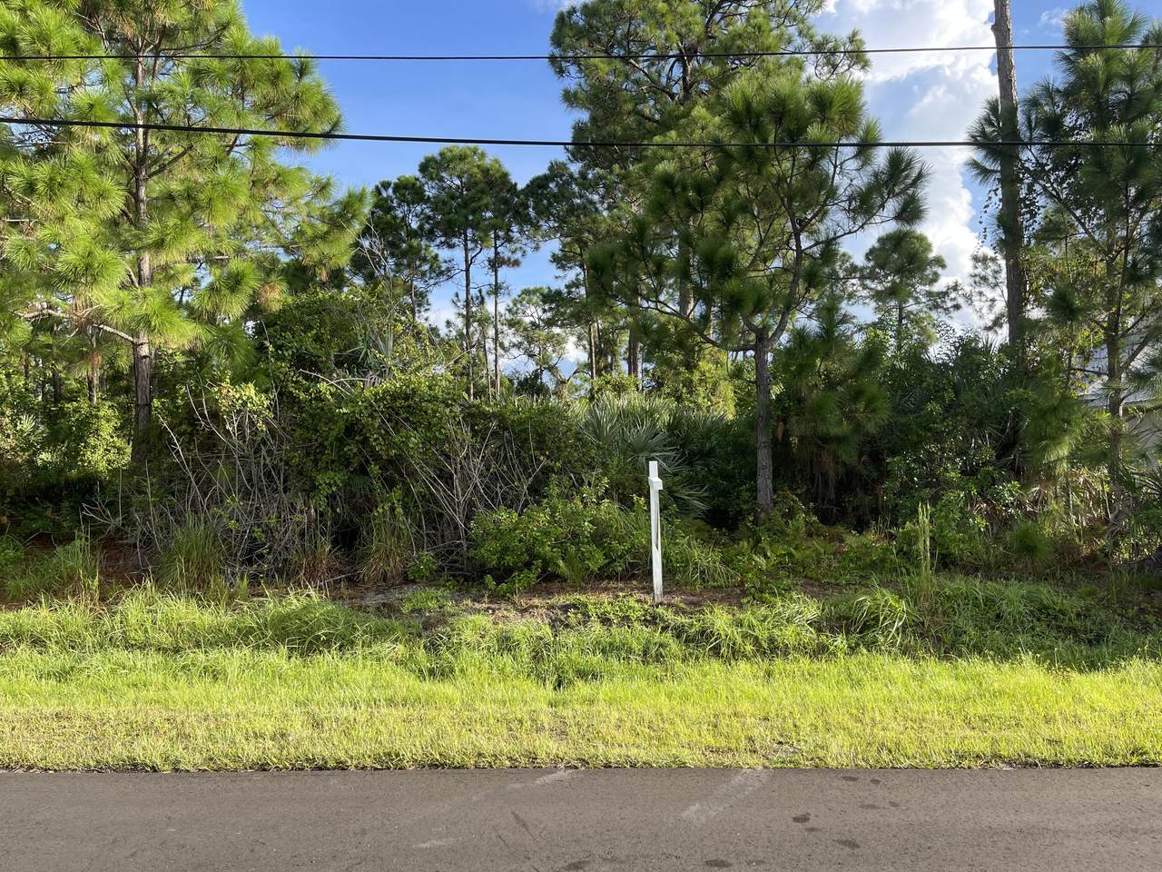 1673 Levato Avenue - Photo 1