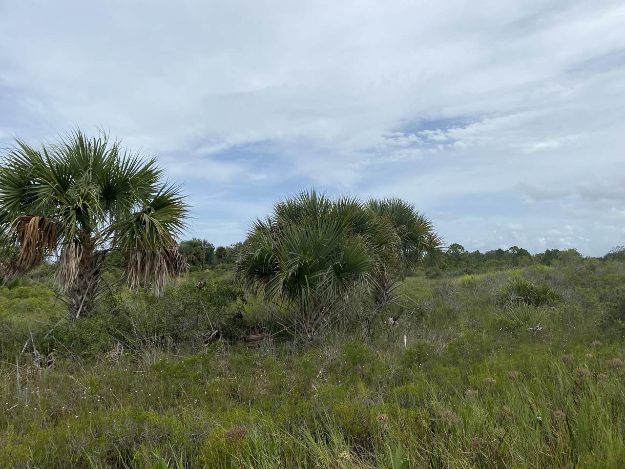 16481 316th Street - Photo 1