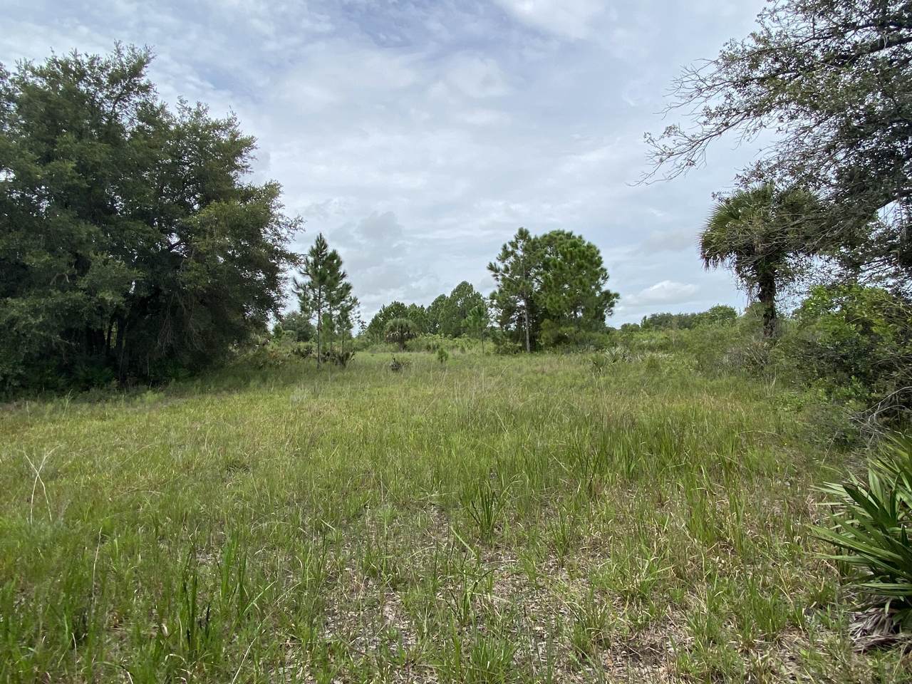 16486 318th Street - Photo 1