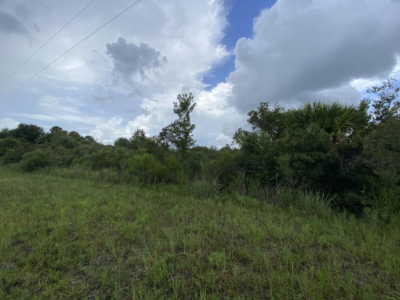19461 256th Street - Photo 1