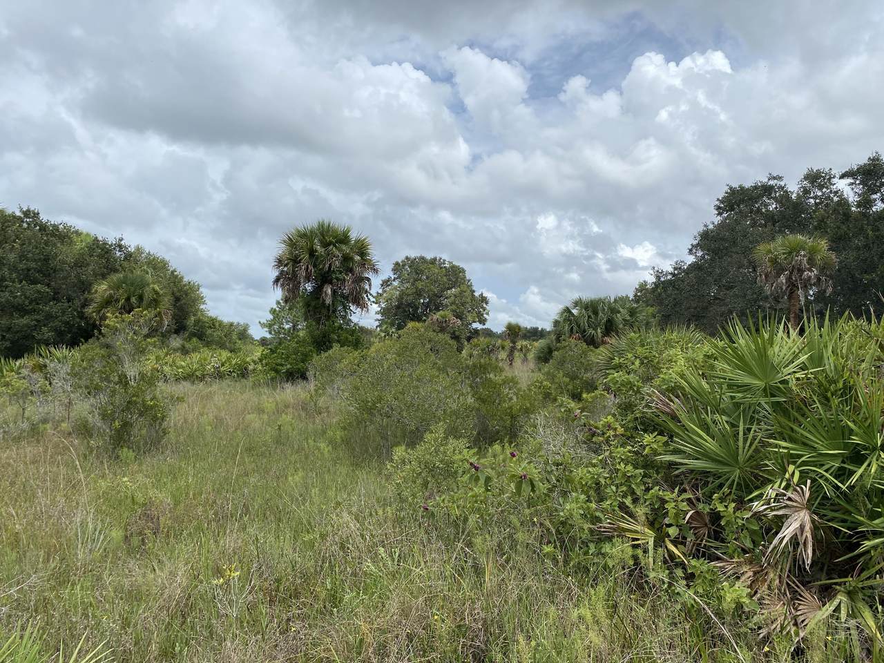 14871 290th Street - Photo 1