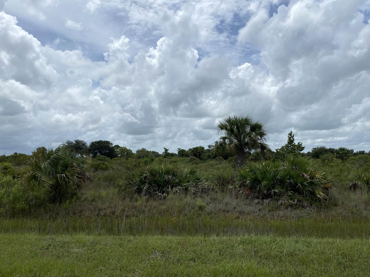 14676 284th Street - Photo 1