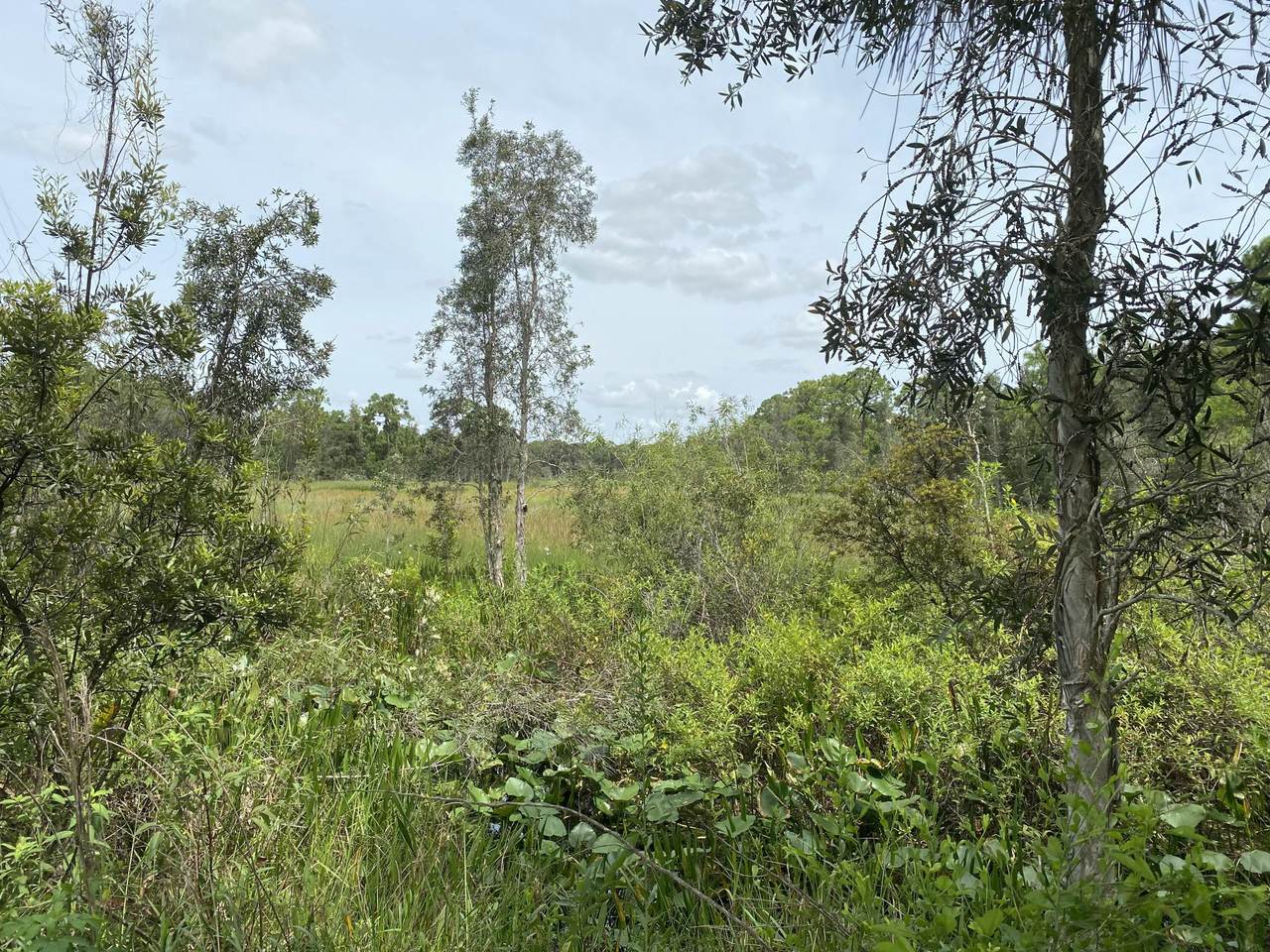 000 Dyer Road - Photo 1