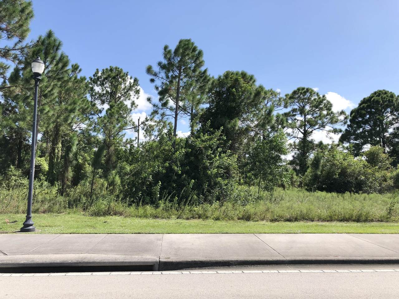 1350 Becker Road - Photo 1