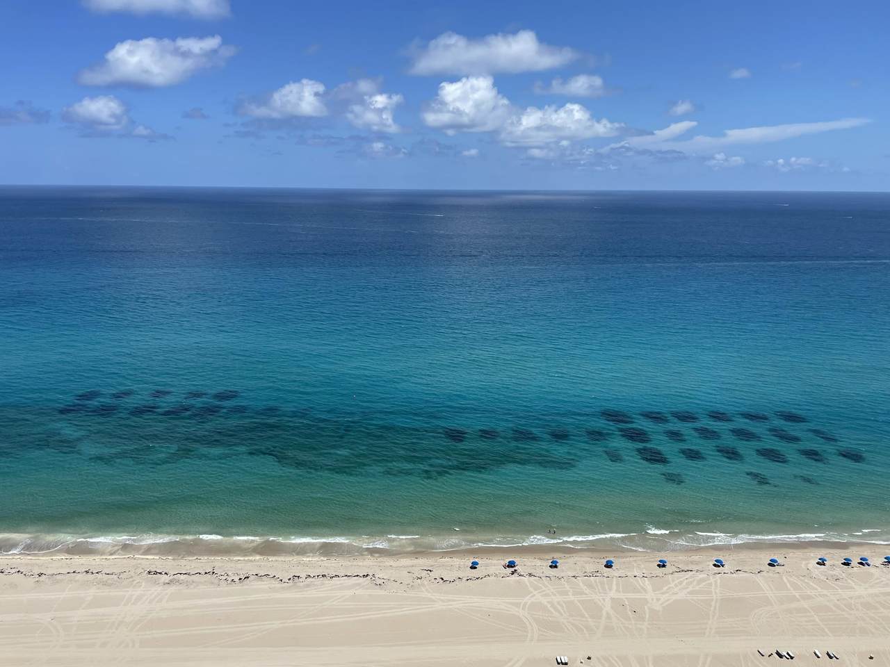 3000 Ocean Drive - Photo 1
