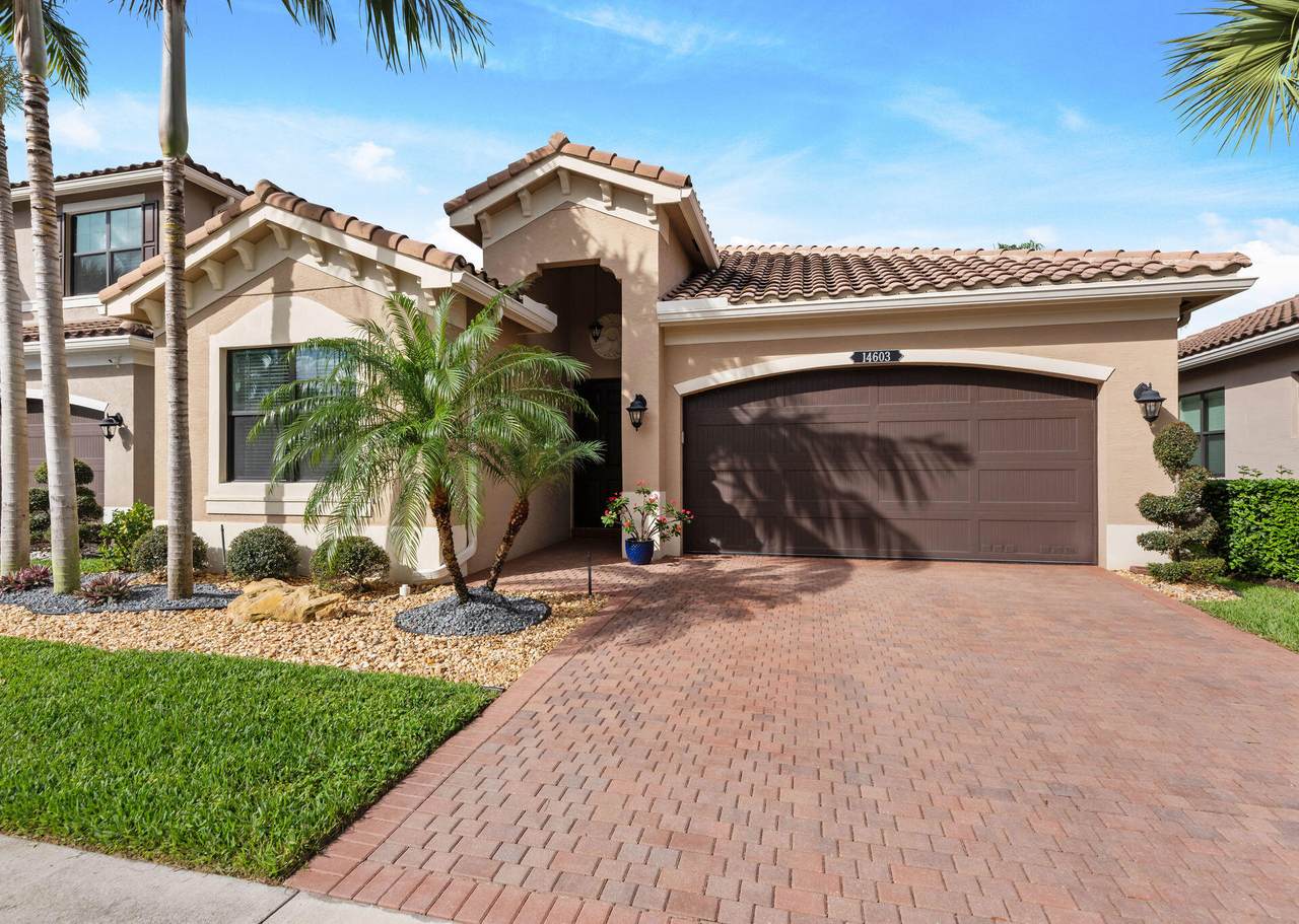 14603 White Jade Terrace - Photo 1