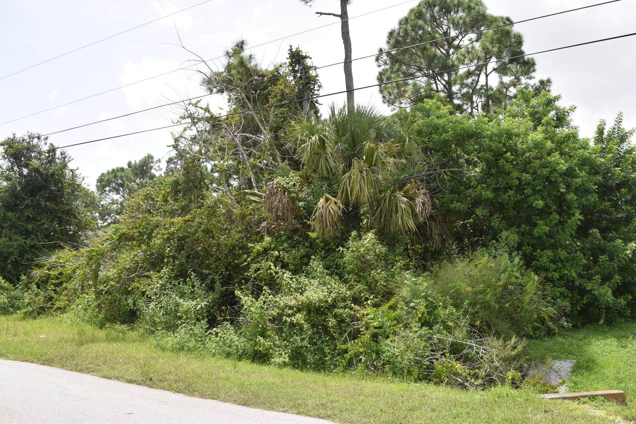 3202 Martin Street - Photo 1