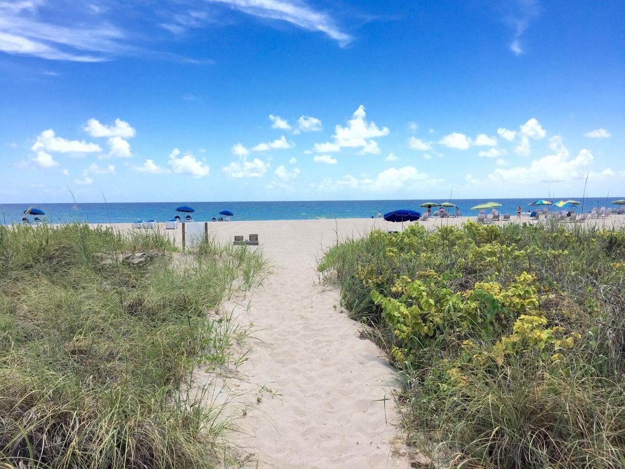 3600 Ocean Drive - Photo 1