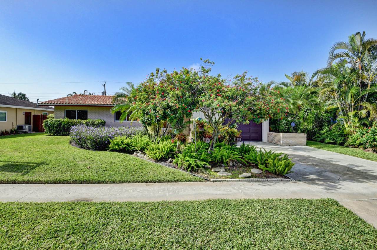 10 Burning Tree Lane - Photo 1
