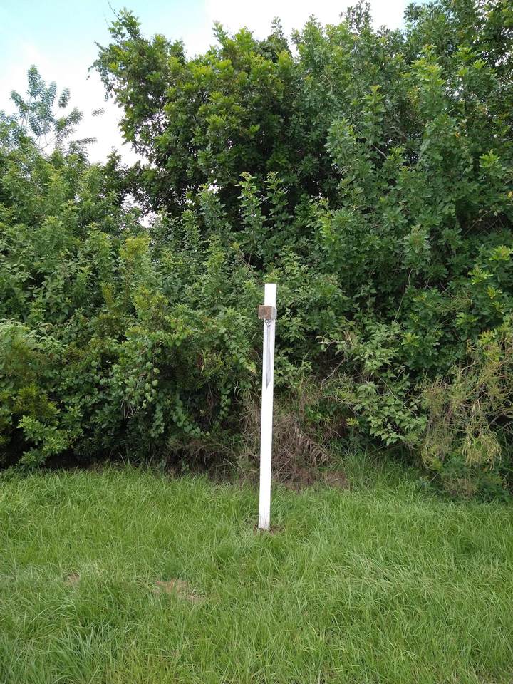 513 Prater Avenue - Photo 1