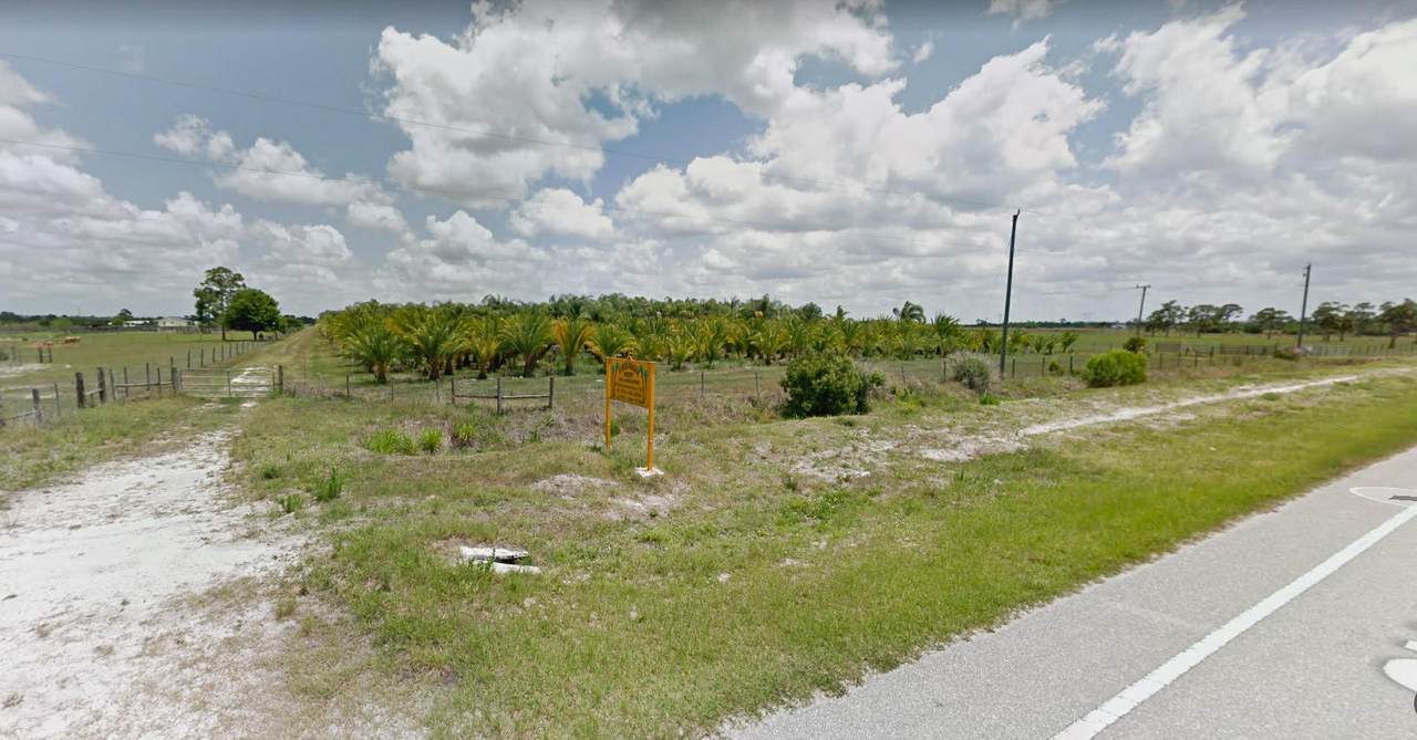 9961 Fox Brown Road - Photo 1