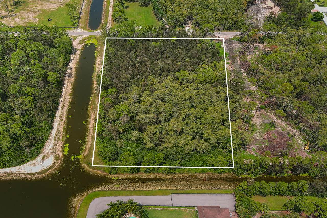11352 Alligator Trail - Photo 1