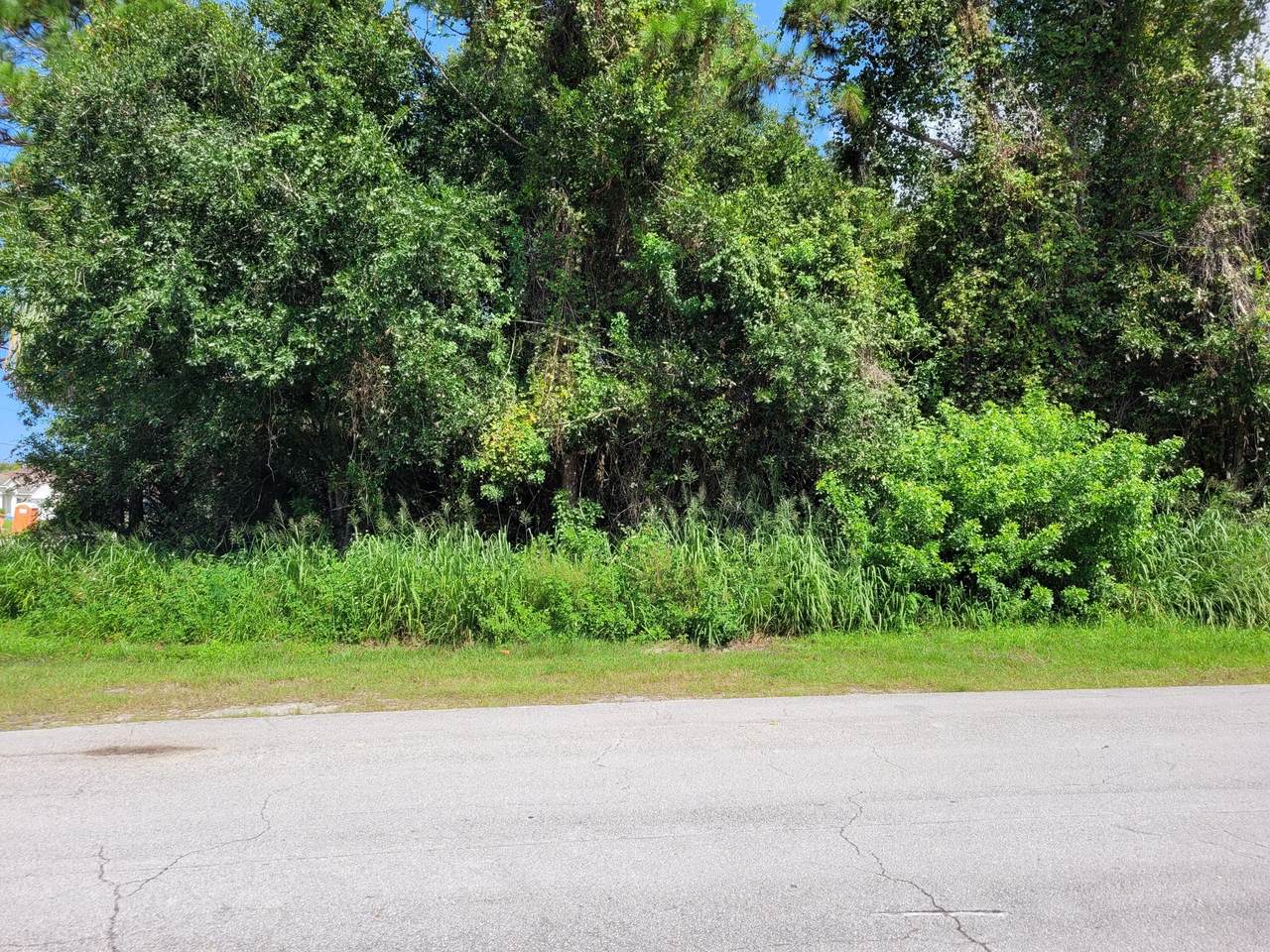 901 Bayshore Boulevard - Photo 1