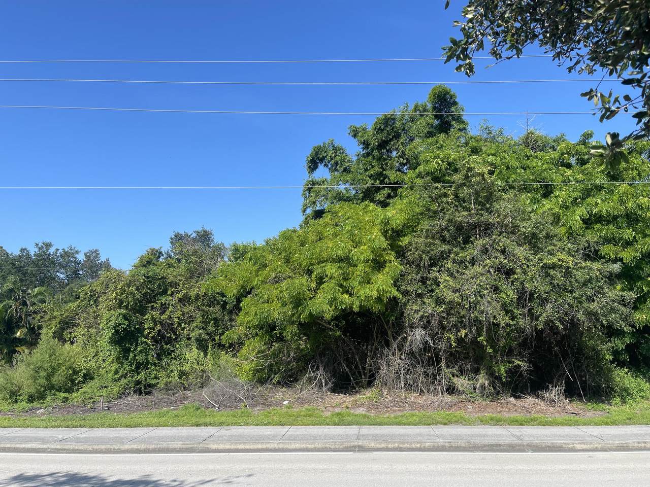 1138 Airoso Boulevard - Photo 1