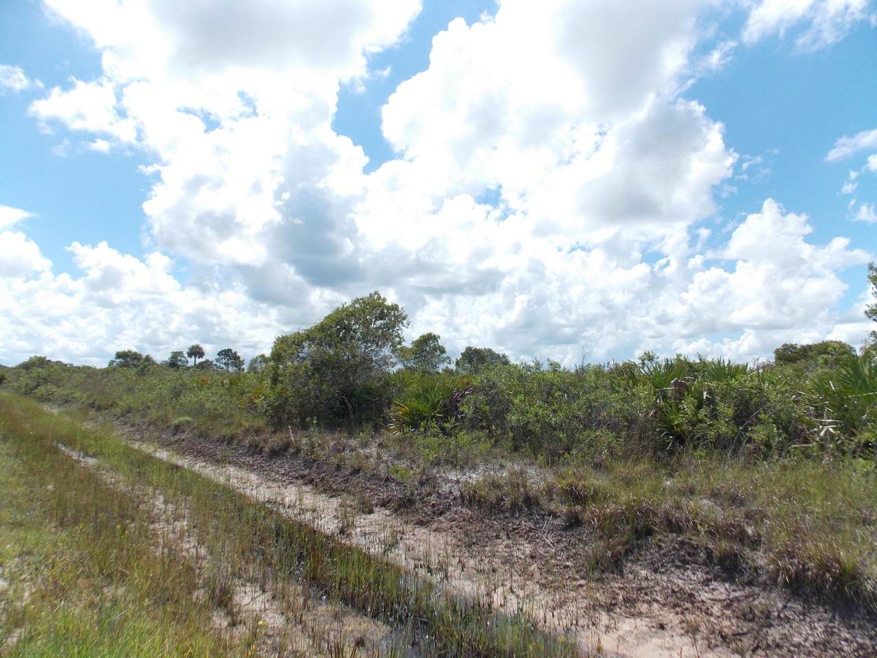 20374 244 Street - Photo 1