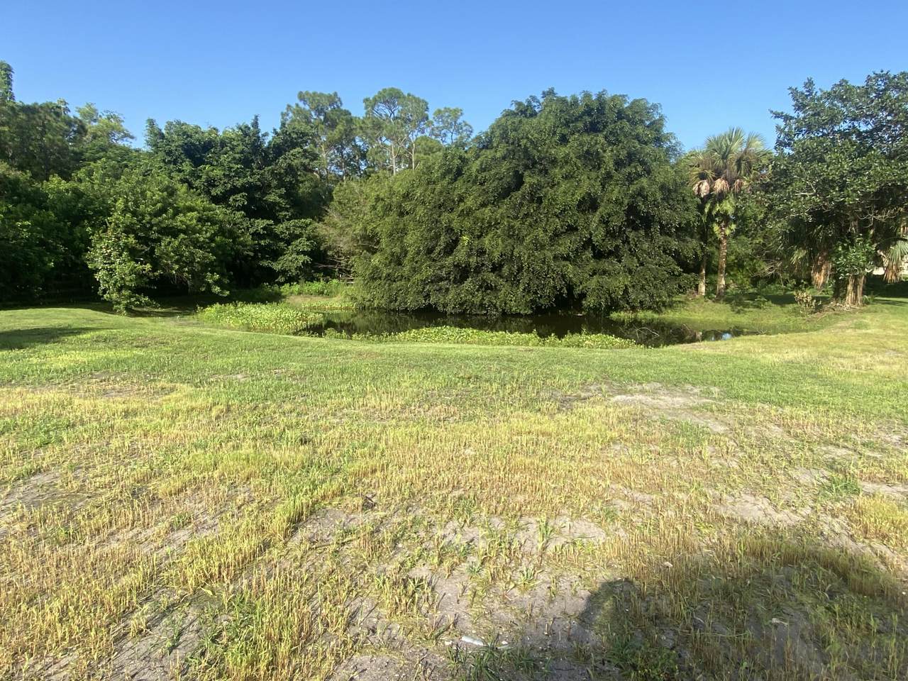 17395 Haynie Lane - Photo 1