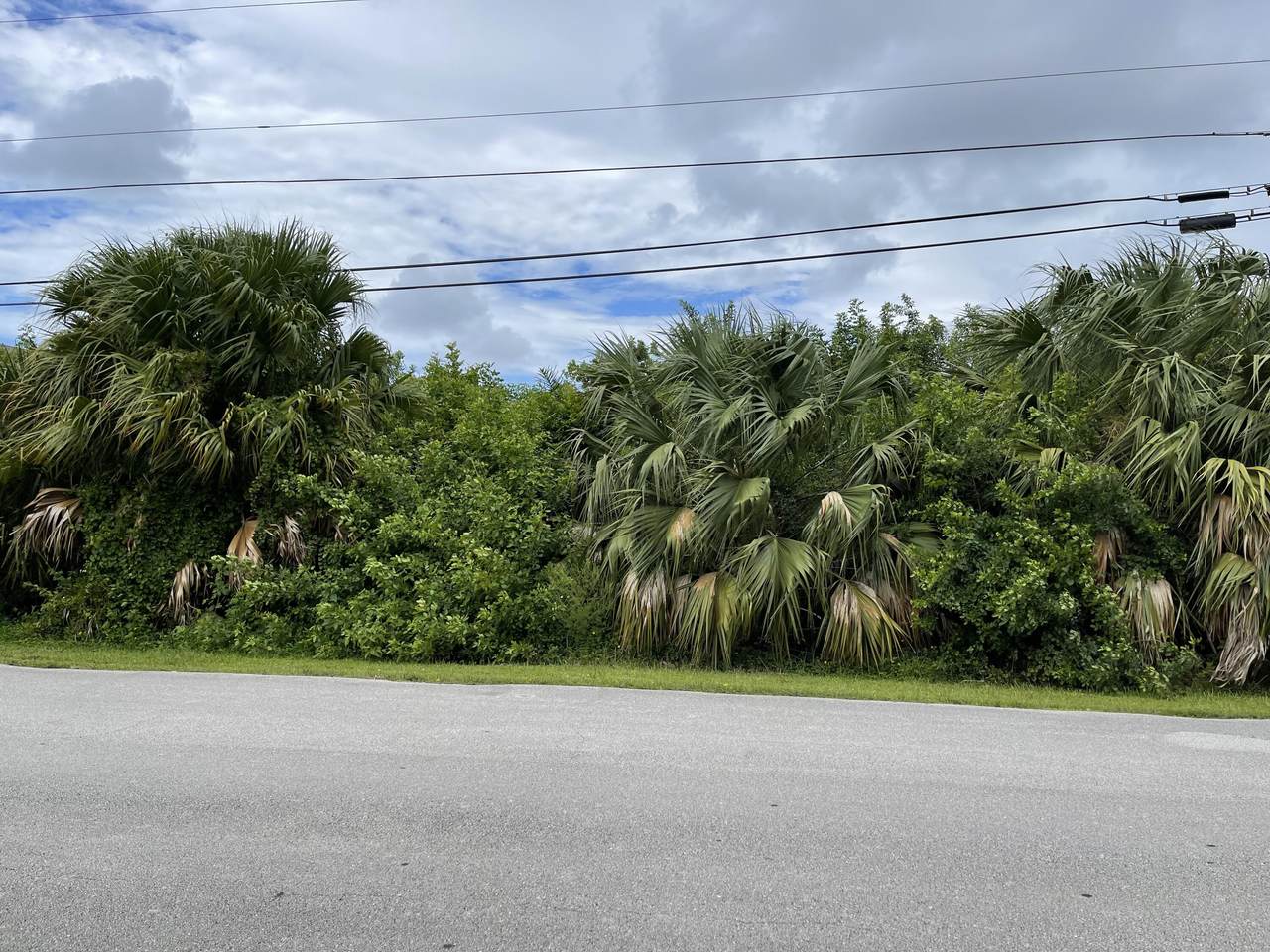 4208 Jame Street - Photo 1