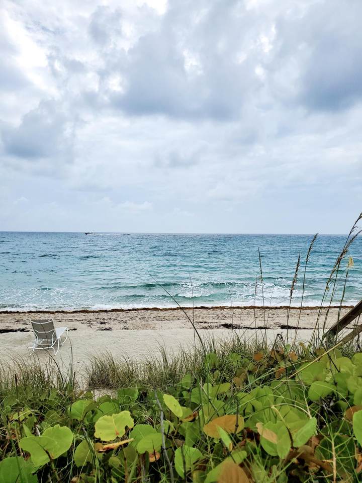 3230 Ocean Boulevard - Photo 1