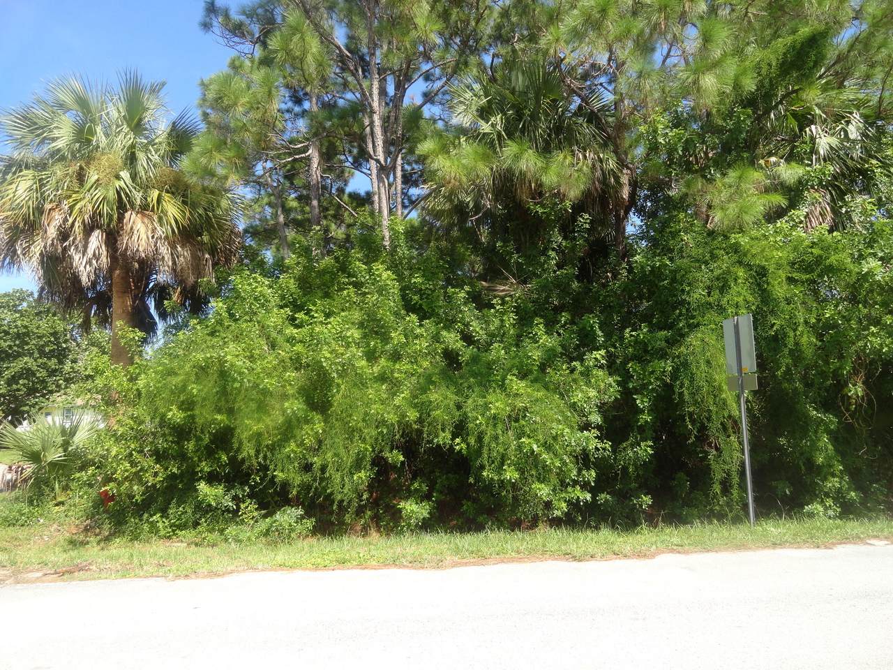 6104 Buchanan Drive - Photo 1