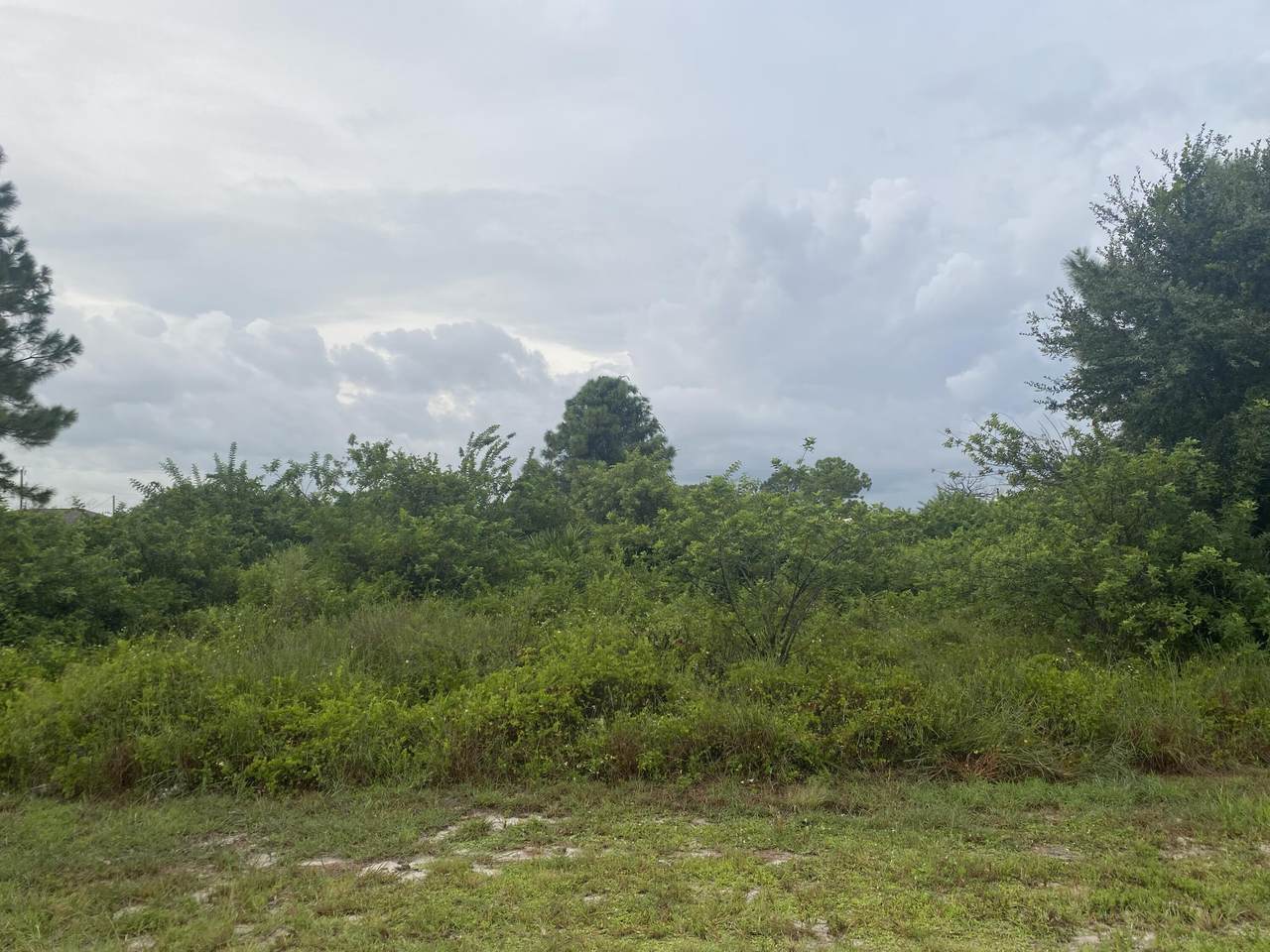 3011 2nd Street - Photo 1