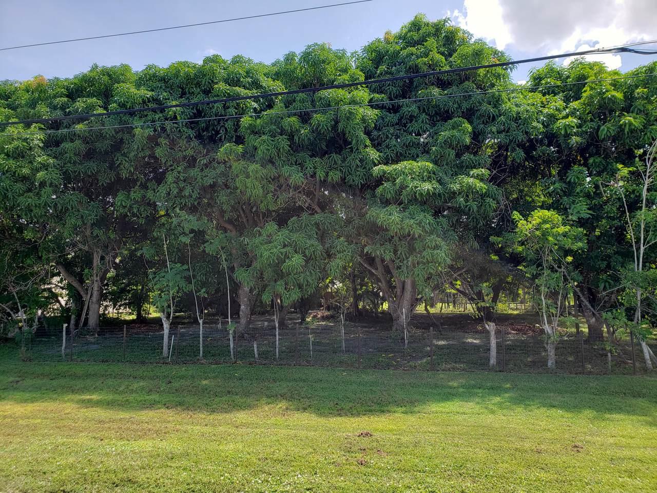 Lot 29 Tiffany Avenue - Photo 1