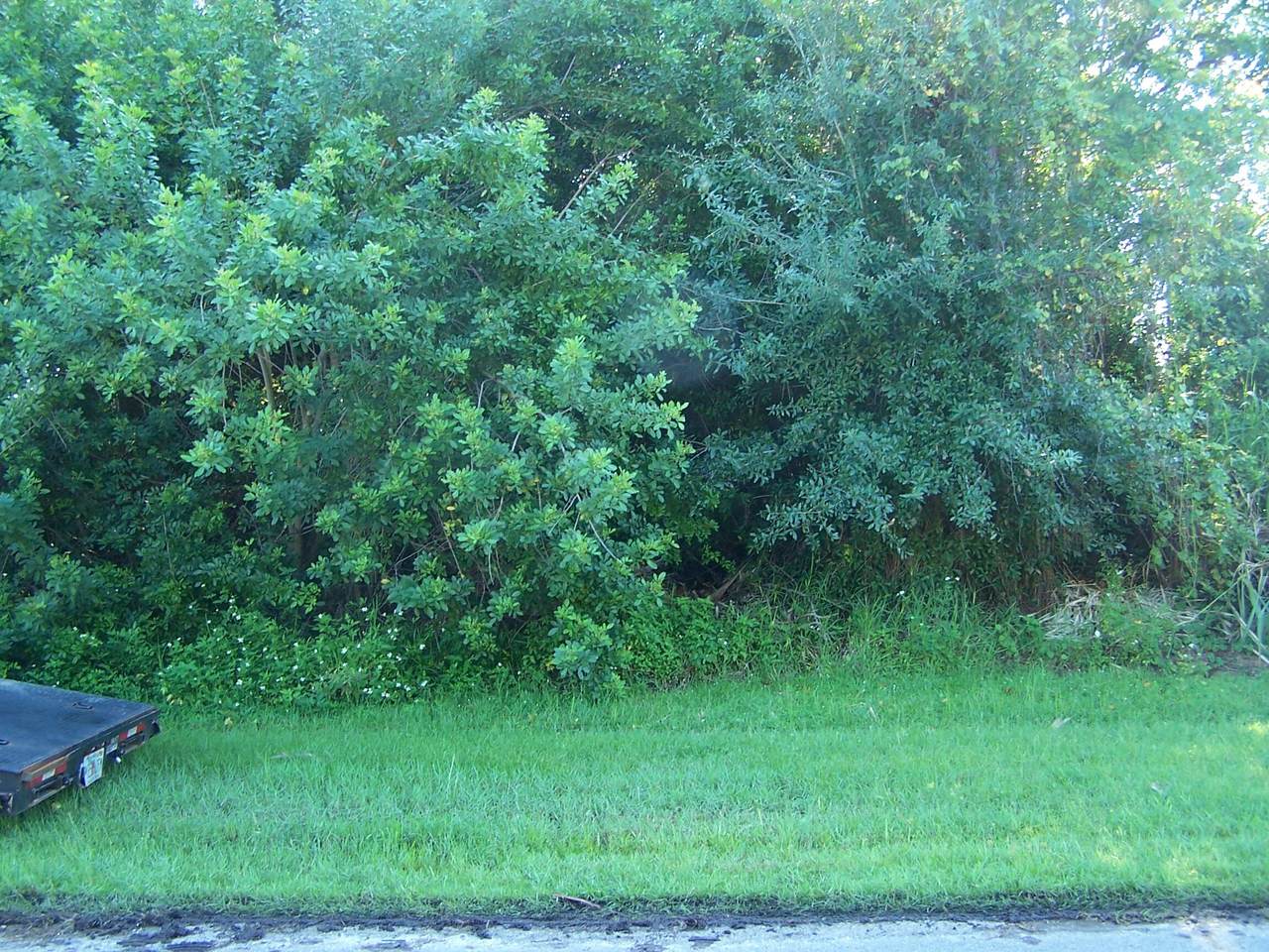 2243 Plymouth Street - Photo 1
