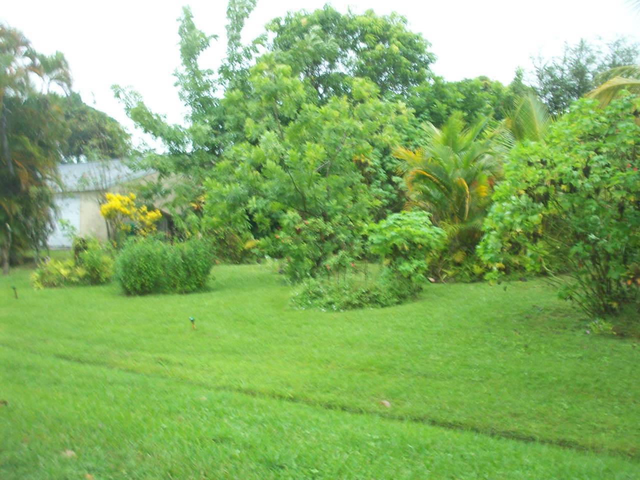 1957 Fallon Drive - Photo 1
