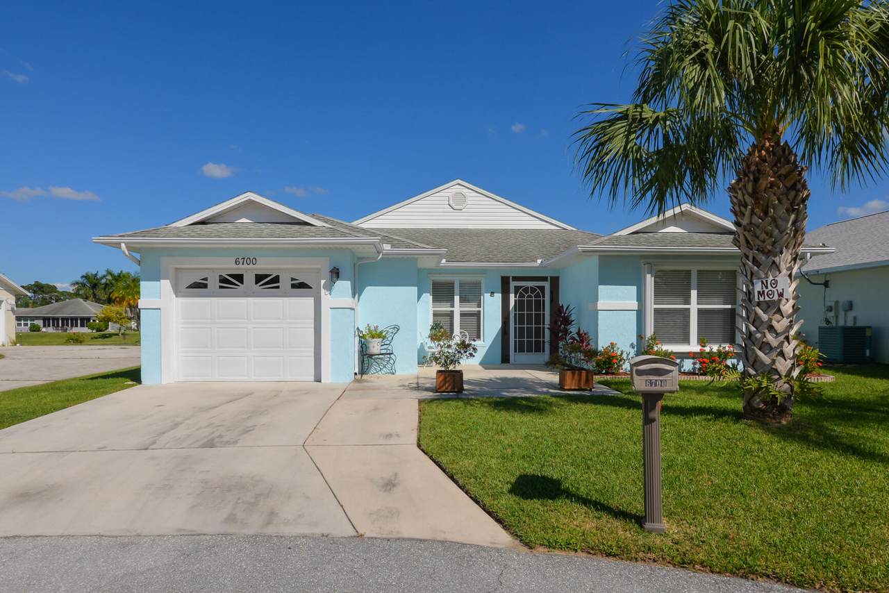 6700 Alheli - Photo 1