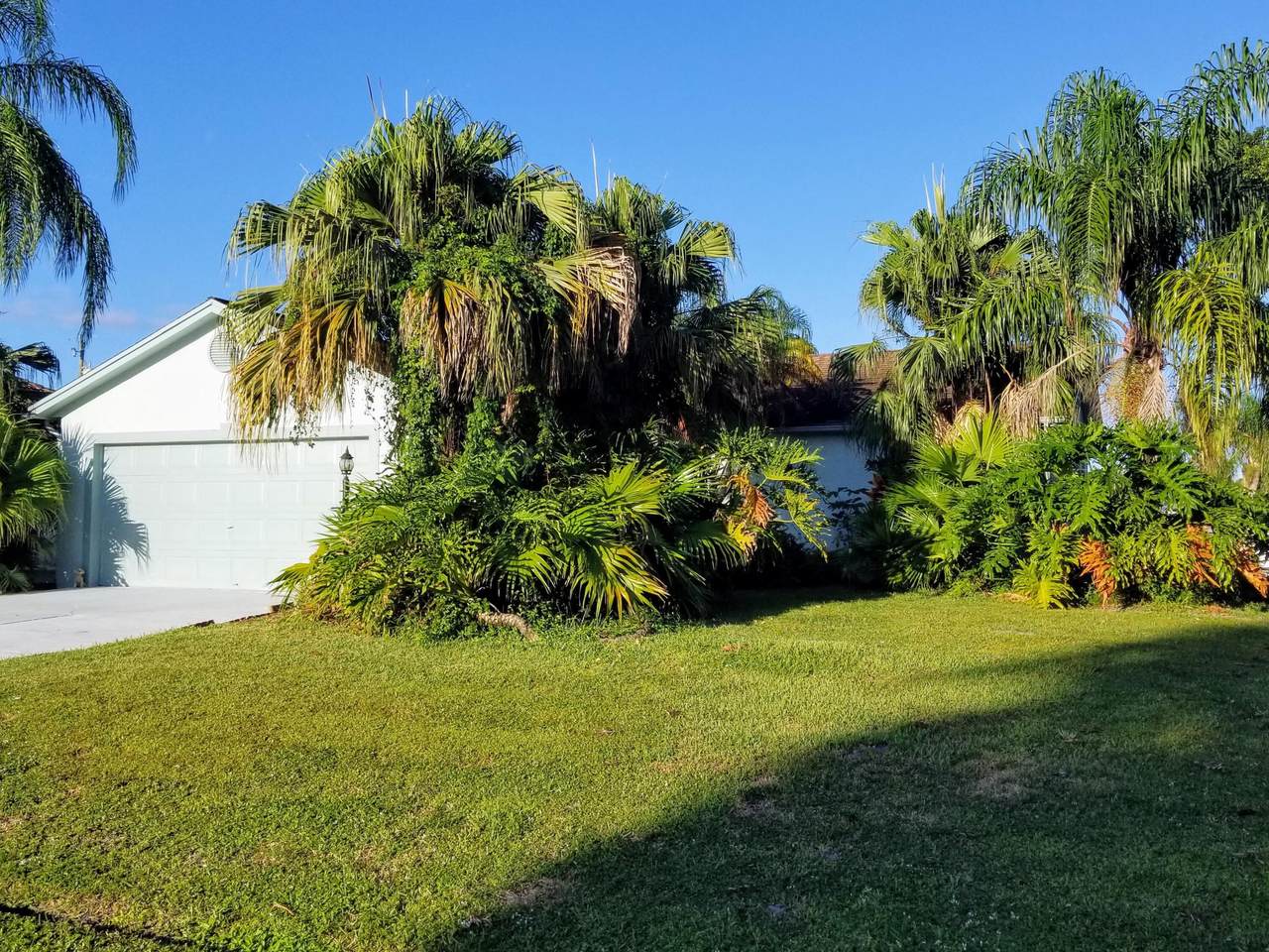 2418 Camarin Street - Photo 1