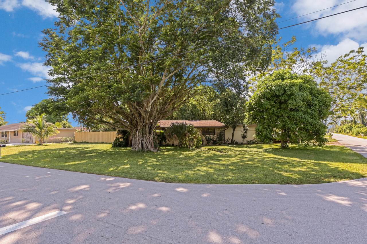 457 Guava Avenue - Photo 1