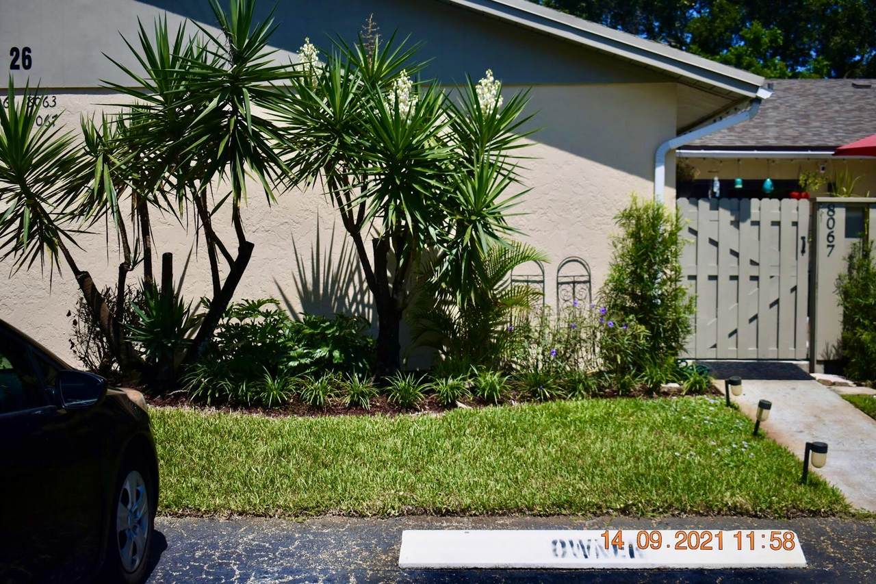 8067 Ambach Way - Photo 1