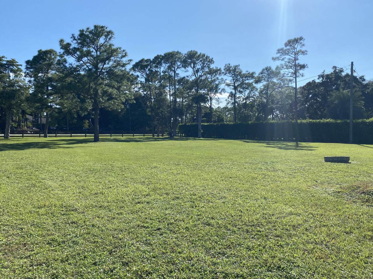 11953 Persimmon Boulevard - Photo 1