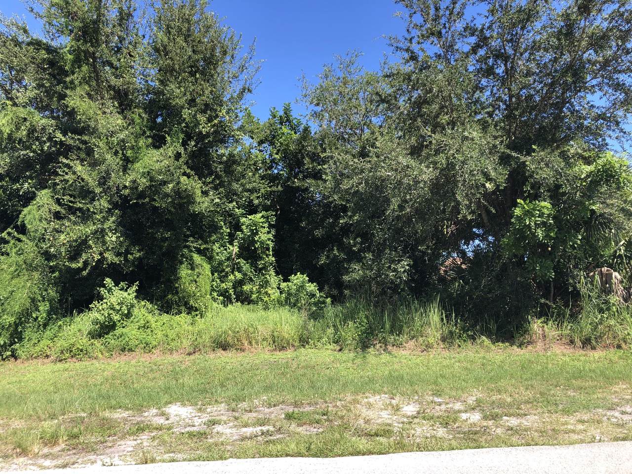 2301 Merrill Road - Photo 1