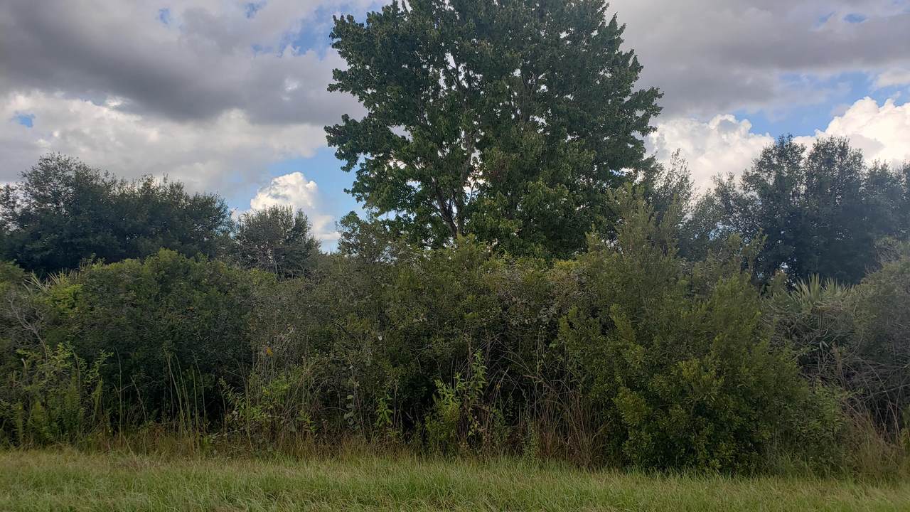 18019 290th Street - Photo 1