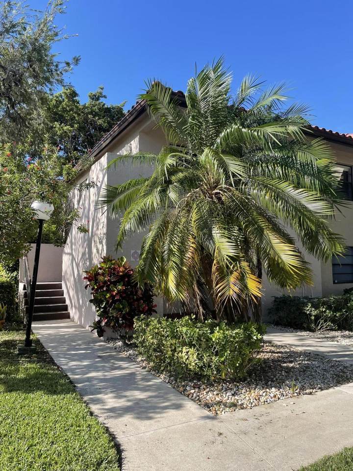 9206 Pecky Cypress - Photo 1