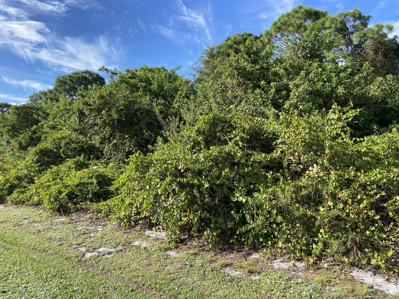 1317 Becker Road - Photo 1